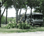 Camping at Lake Whitney Marina